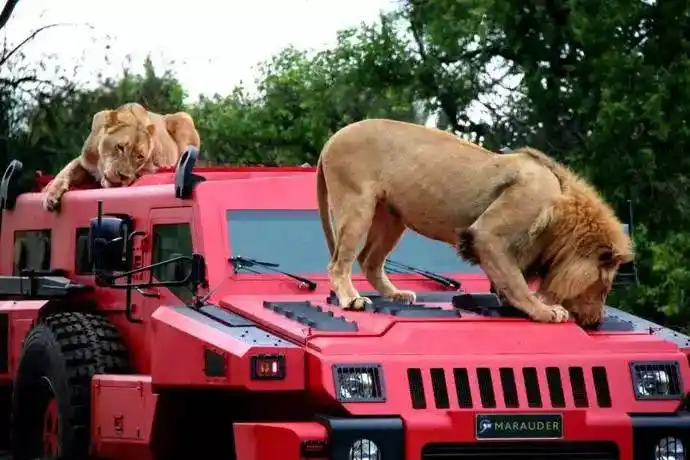 每日一车派拉蒙掠夺者