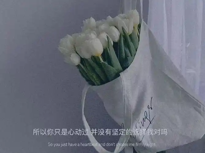 深夜emo的朋友圈文案