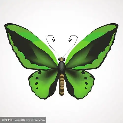 张开翅膀的绿色蝴蝶.矢量图