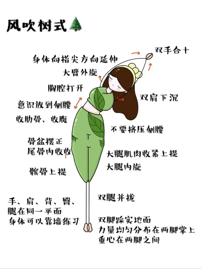 风吹树式 瑜伽体式讲解 基础瑜伽体式 风吹树式,是一个基础的站立瑜伽