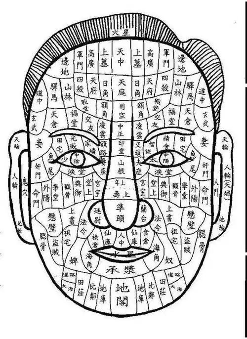 女人_男人_面相