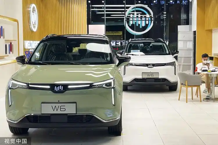 威马w6 图片来源:视觉中国