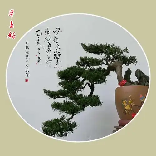 金银滩九月份"早上好"问候图片汇集