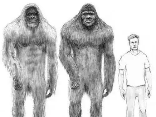 14种远古巨兽大复活恐鸟上龙泰坦蟒都在名单之中2