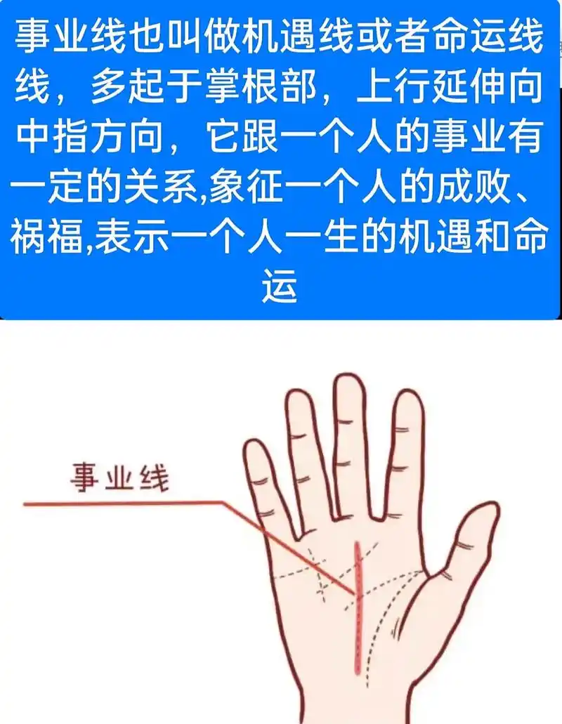 手掌中的命运线.