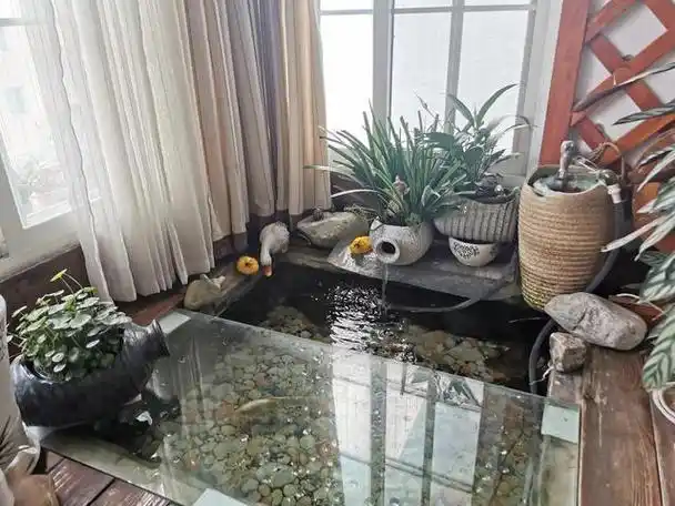浙江36岁太太,因"在阳台建鱼池养鱼"而走红,妥妥一个室内庭院