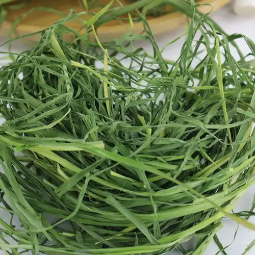 买5送1 特级新鲜果树草250g 热风烘干兔子龙猫陆龟荷兰猪4份包邮