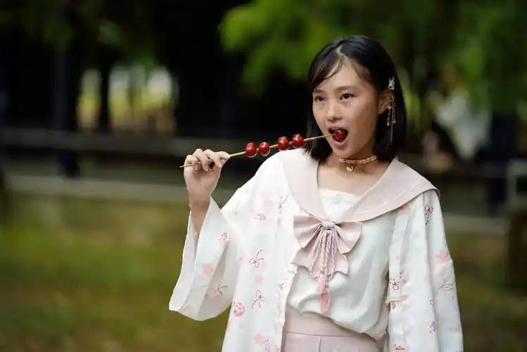 爱吃糖葫芦的女生-新湖南