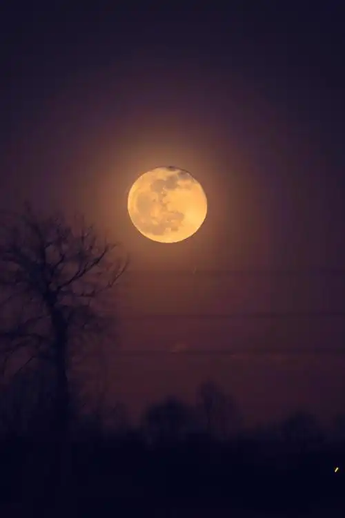 故事月光下的秘密