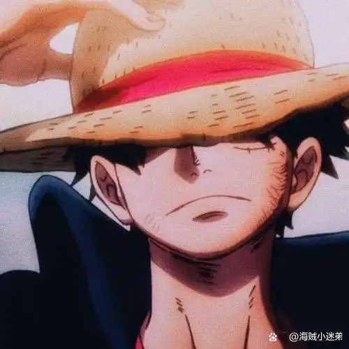 《海贼王》1051话情报公开,路飞和凯多的战斗结束,大家都在欢庆胜利.