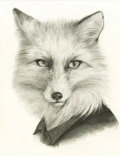 狐狸简笔画素描