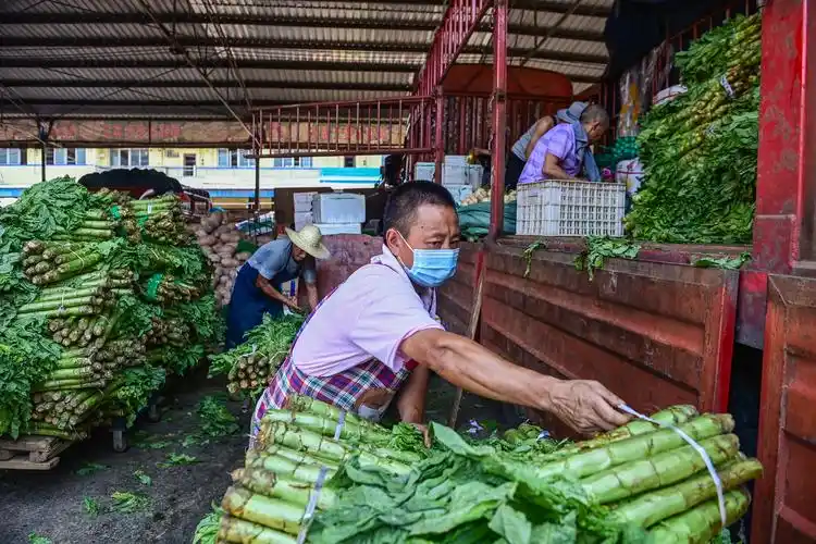 8月1日,九龙坡蔬菜批发市场各类新鲜蔬菜供应充足,商户们正在忙碌.