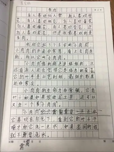 我的植物朋友多肉