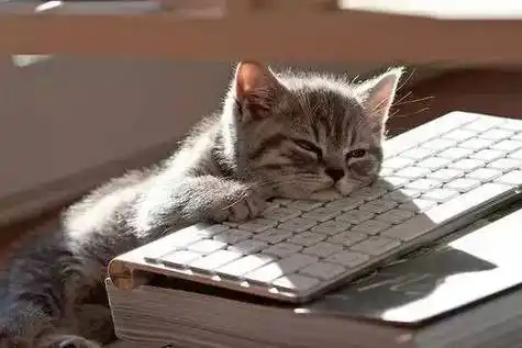 熬过最难熬的日子说说(熬过最难熬的日子说说女孩子)