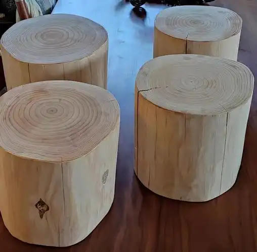 (今日10折)北欧原木圆形凳子客厅根雕木墩装饰服装店摆件家用树墩实木