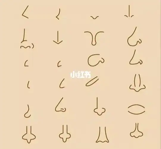 鼻子简笔画