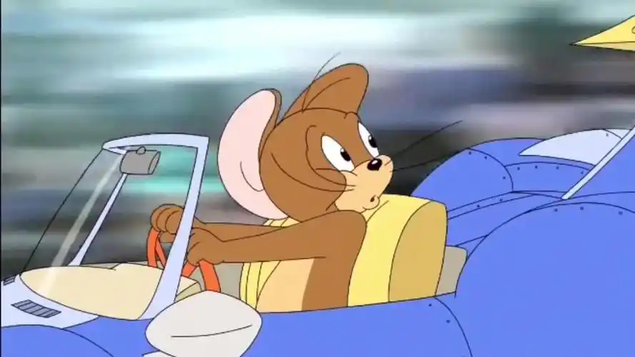 猫和老鼠:汤姆,这开车技术真是无敌了!