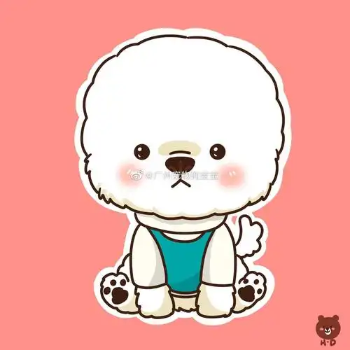 新手养博美需要准备什么?