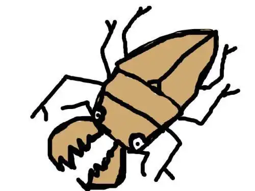 锹形虫的简笔画 简笔画图片大全-蒲城教育文学网