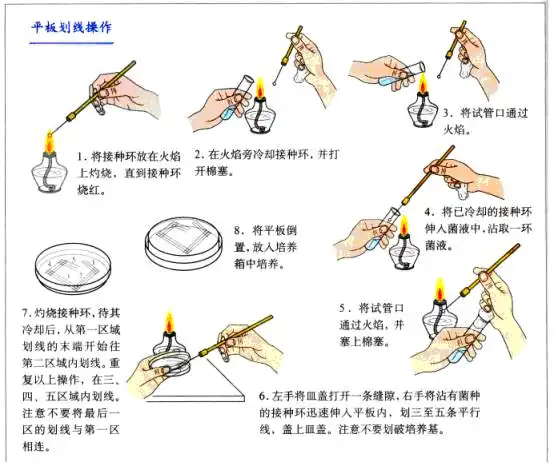 划线平板的生产流程