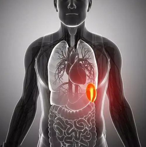 补脾,是一切疾病治疗的关键,可惜知道的人太少了!