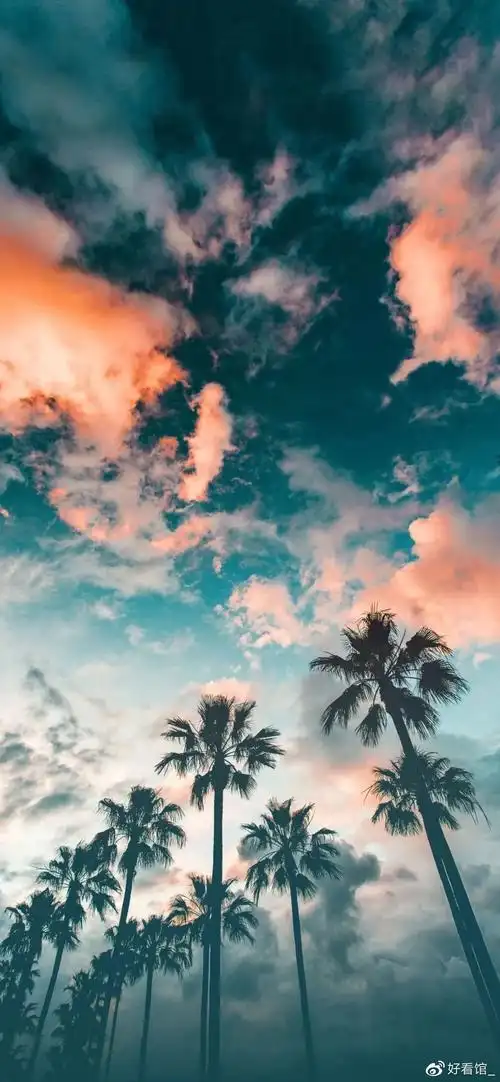 4k超高清竖屏很火的潮图壁纸高清1080p