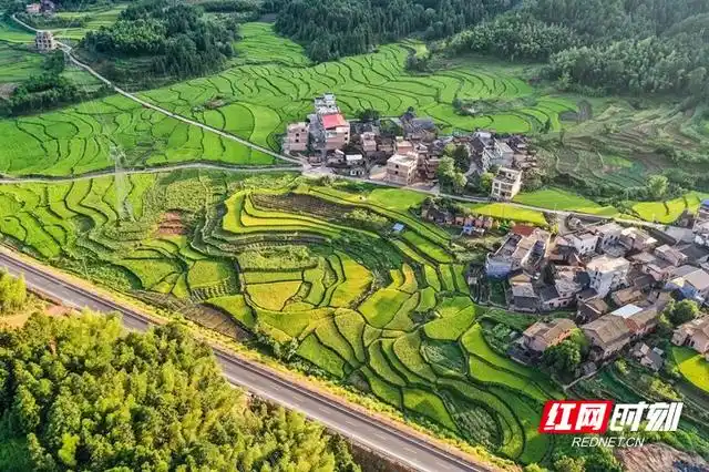 红网时刻新闻8月18日讯(通讯员 彭华)8月15日,湖南省永州市蓝山县所城