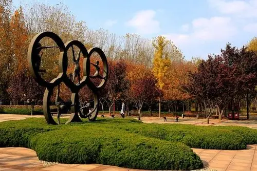 青岛奥林匹克就是山东的这一佳作,这一公园的建设意在让市民和游客,更