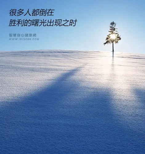 很多人都倒在胜利的曙光出现之时