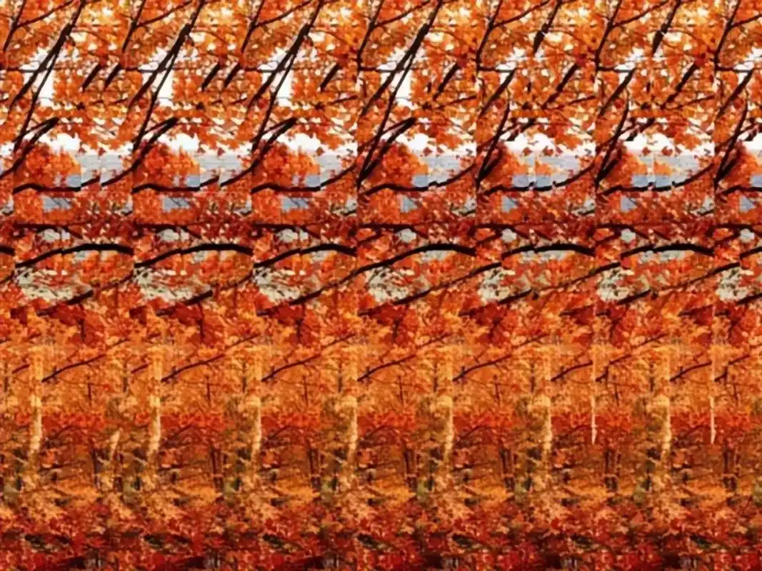 这是一幅蕴藏了祝福的三维立体图,你看出来了么?