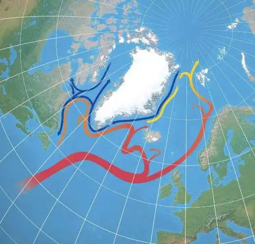很多朋友都听说过北大西洋暖流,这股暖流从北大西洋沿欧洲海岸一路
