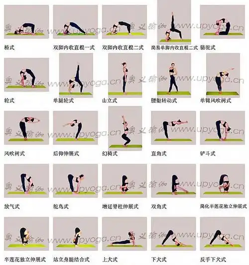 瑜伽体位招式大全