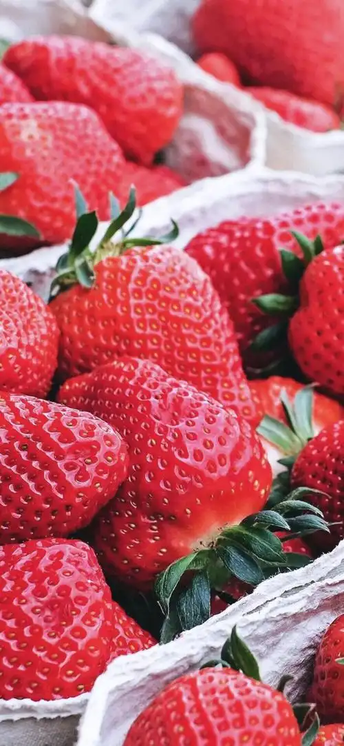 【iphone x 壁纸】水果壁纸