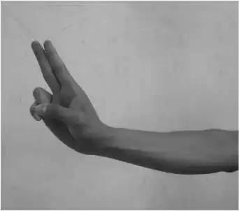 古典舞男女手形手位与舞姿图解