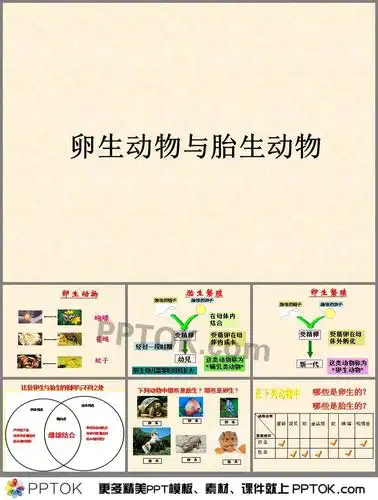 幼儿园大班科学卵生动物与胎生动物ppt课件