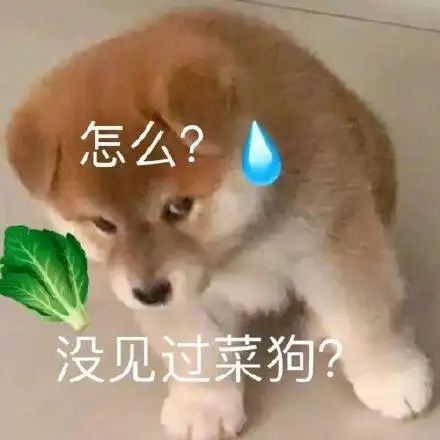 怎么?没见过菜狗?_过菜_怎么_没见表情