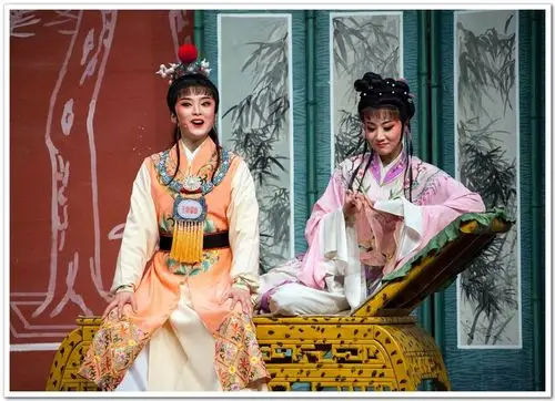 上海越剧团《红楼梦》林黛玉剧照 (忻雅琴 饰)