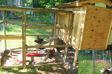 亲手打造的鸡窝----省了800美刀呢!