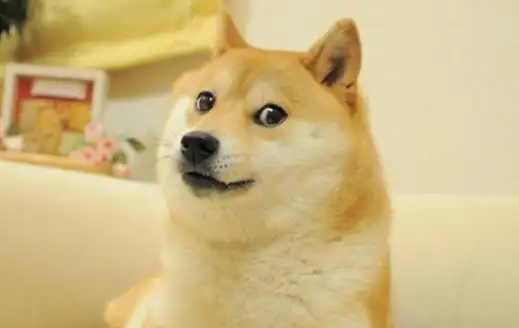 腾讯申请狗头表情版权,网友:以后发表情包也要充qq会员了