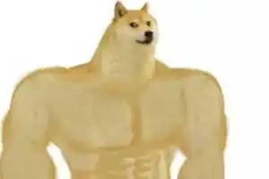 肌肉柴犬与小废柴梗图走红 爆笑内容引网友疯狂流传