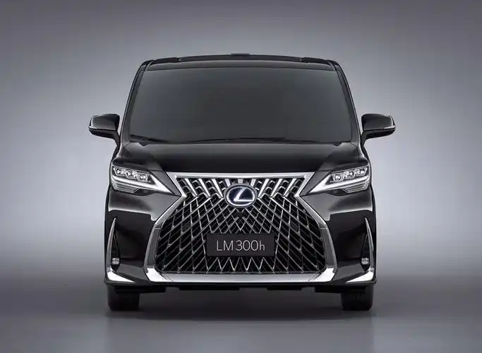 雷克萨斯lm_2020款 300h 四座御世版_外观图片-太阳能电动汽车网