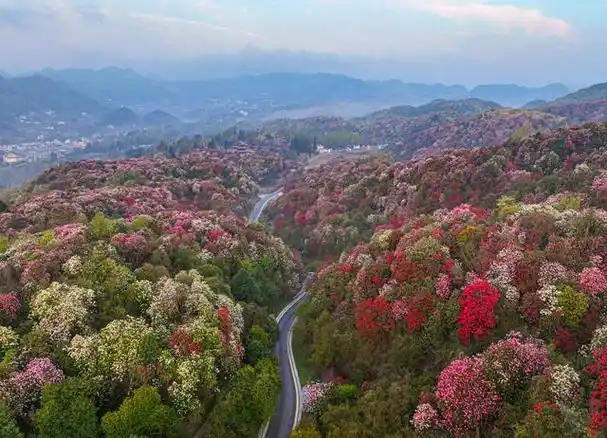 乐山绿心公园游玩攻略