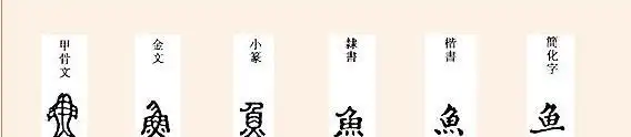 "鱼"字的由来(如何演变而成)
