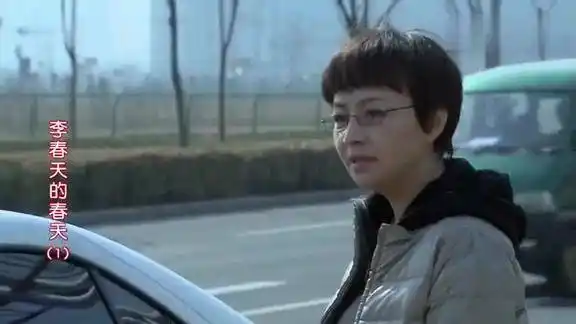 李春天的春天宋丹丹开大众撞杂牌车念完车标样式保险挂电话