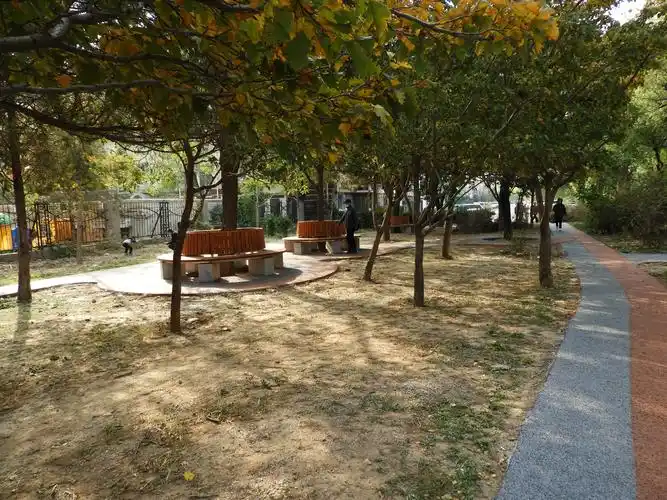 天通苑东一区塔楼西侧的微型口袋公园