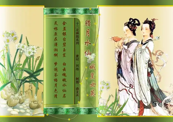【蜡月水仙】    花神娥皇与女英(借水开花自一奇,水沉为骨玉为肌)