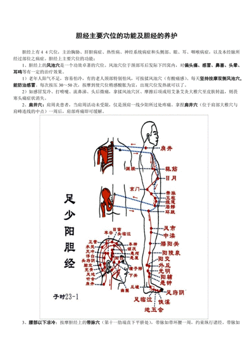 胆经主要穴位的功能及胆经的养护.doc