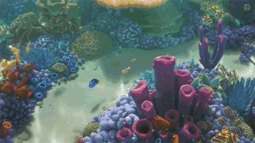 又能体会这么奇妙的海底世界?