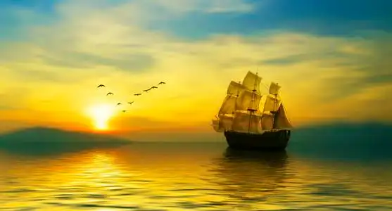 帆船日落鸟图片