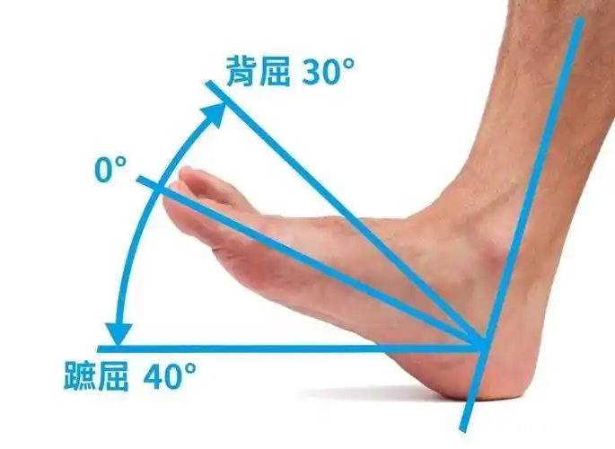 【本源健身康复】足背屈受限的解决方案_关节